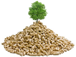 Biomass fuel source