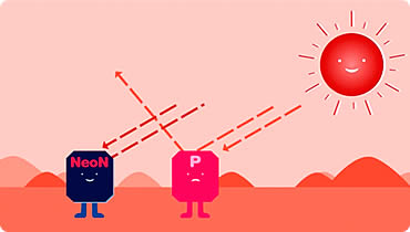 The NEON Solar PV System